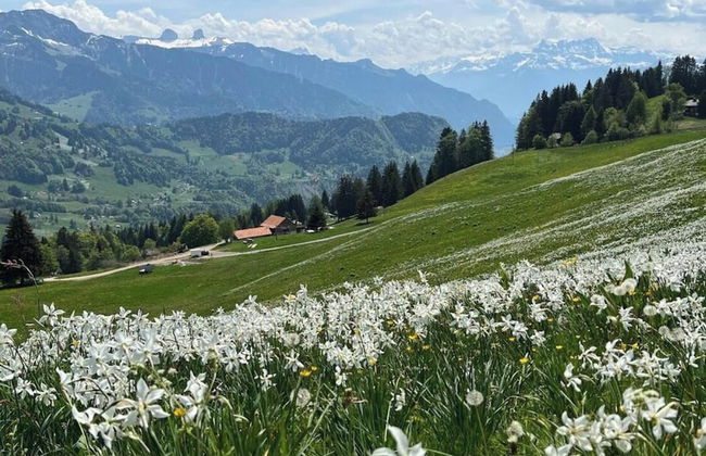 La Vigneronne, Tuin - Foto 4