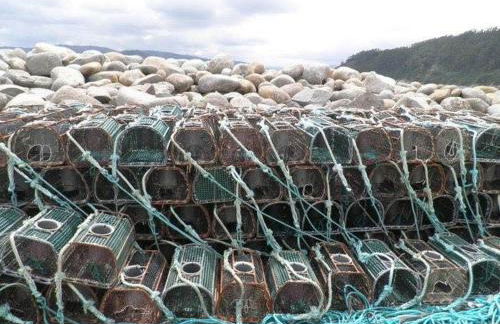 Casa Dorinda - Foto 8