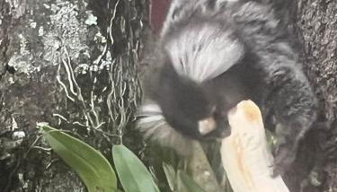 Sitio em Araçoiaba, com Lazer completo! - Foto 3