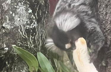 Sitio em Araçoiaba, com Lazer completo! - Foto 3