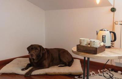 El Piolet de Camprodon - Photo 25