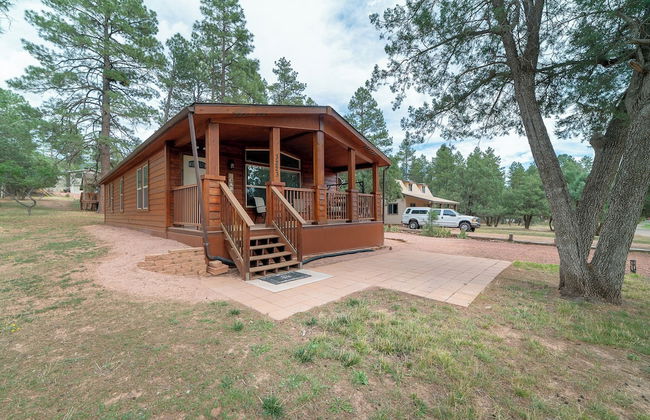 Old County Pine - Photo 1