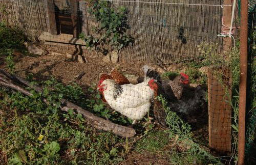 Apartamento Felicitas en La Casa de Cobos, Ribeira Sacra - Foto 37