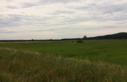 Apartamenty Pod Jesionem - Foto 12