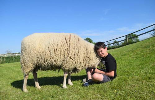 Der historische Silberhof von 1856 - Foto 35