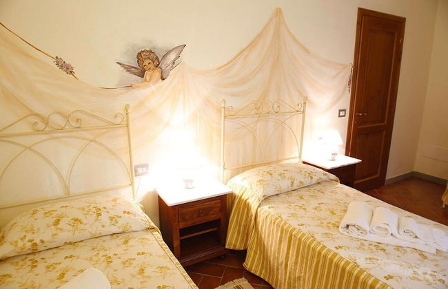 Gatto Bianco Tizzauli - Foto 10