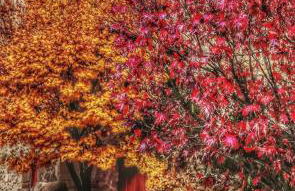 Apartamentos Palación de Santillana - Foto 49