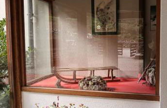 Bellavista - Foto 13