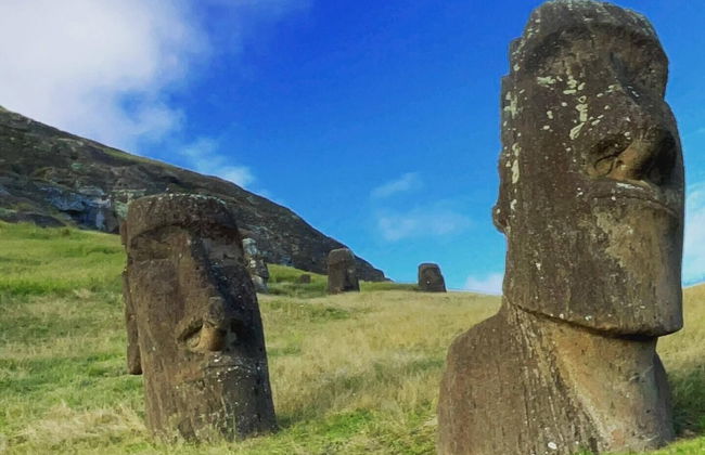 Cabañas Te Maori - Foto 54