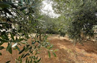 Il moro - Casa Vacanze - Foto 15