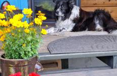 Chata drewniana Stefanówka - Foto 49