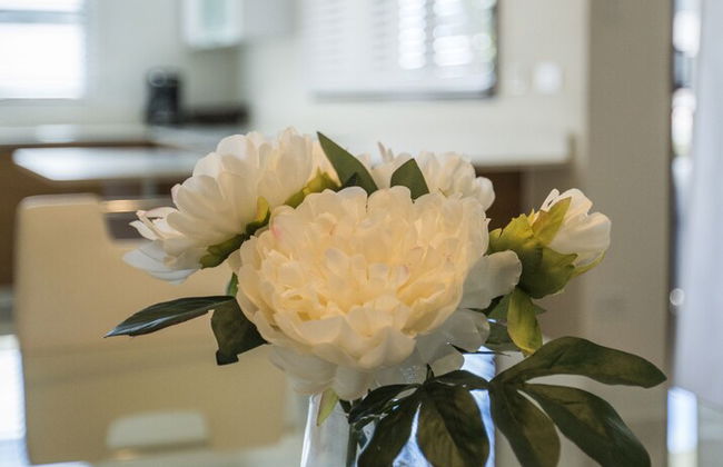 Solarea Resort - Foto 61