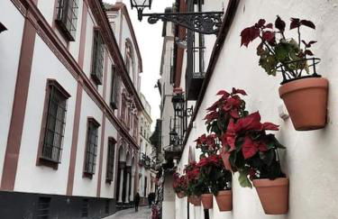 Star's House Sevilla.Con piscina,10 min de Sevilla - Foto 40