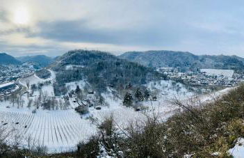 FeWo Mosel - Comfort & Relax - Foto 63