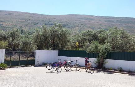 Casa Das Oliveiras - Foto 14