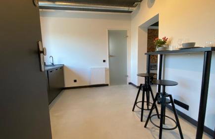 Apartamenty Gliwice Staromiejska 65 - Foto 43