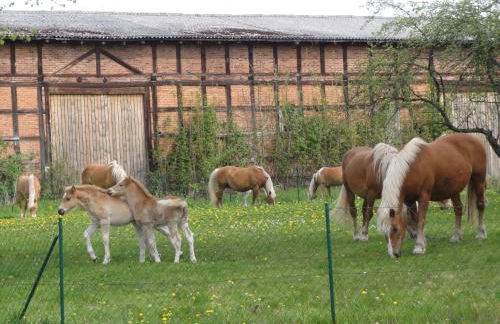 Ferienwohnung Siebmann - Foto 28