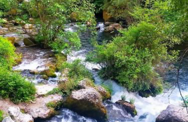 L'Oustau de Laëtitia Animaux bienvenus - Foto 16