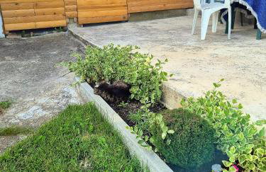 Apartman Rita - Foto 34