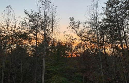 Luxury Loft Cabin 5 miles to TIEC for the Equestrian Internationl Games - Foto 49