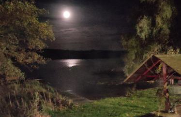 Zielona Dolina - Foto 21