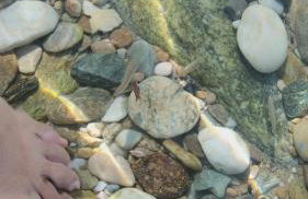 Δίπλα στο κύμα -Βeside the wave - Photo 43