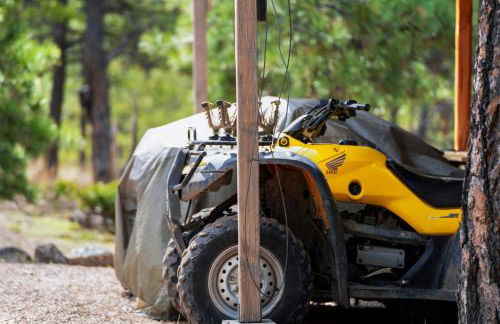 Off Grid Cozy Private Cabin - Foto 28