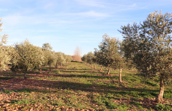 Agroturismo la finka - Foto 21