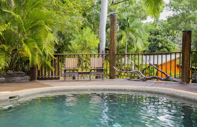 Milkwood Lodge - Photo 7