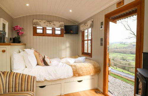 Little Silver Fox - Foto 7