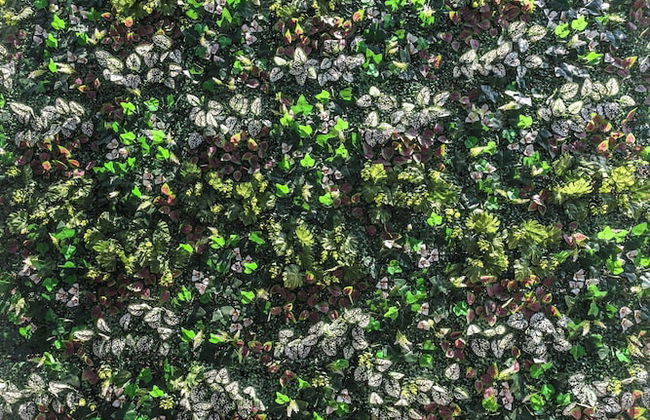 Near Don Mueang Hotel - Foto 72