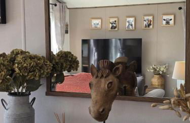 Tequila Sunrise - Foto 25