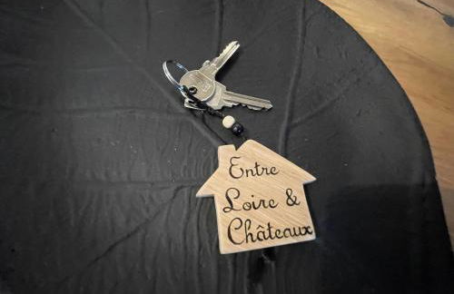 Gite le Magnolia entre Loire et châteaux - Foto 46