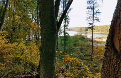 Dom Gościnny Rzeczna 4 - Foto 62
