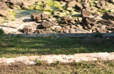 Casiña Palmira - Foto 31