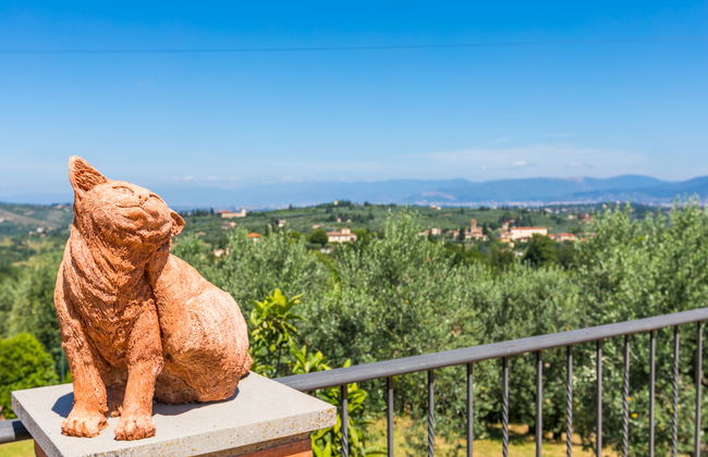 Poggio de'Galli - Foto 8