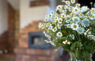 Ostoja Jeziorak Jezierzyce - Foto 3