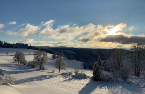 Ferienwohnung Lindenhof - Foto 26