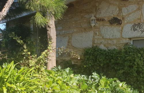 Casa de Campo - Olive House - Foto 8