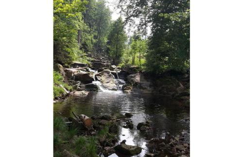 Holiday Apartment Haus Bodefurt - Apartment 2 - Foto 34