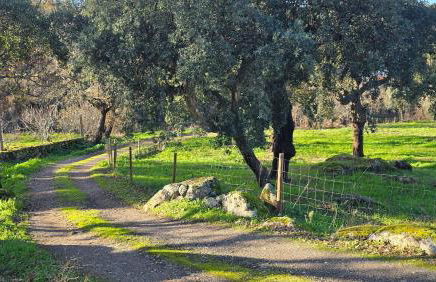 Marvão Quinta da Bela Vista - Foto 30
