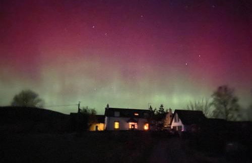 Newton Bothy - Foto 13