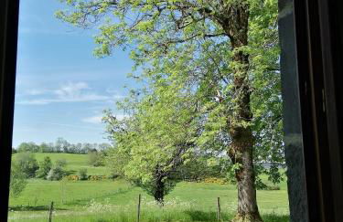 Les Gîtes du Clos - Foto 32