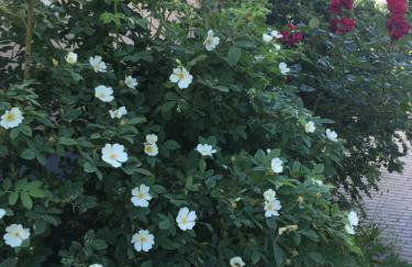 Ferienwohnung Mintbraun - Foto 53