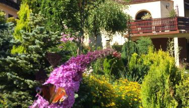 Willa Wierchy - Foto 2, Garden view