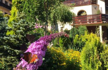 Willa Wierchy - Foto 2