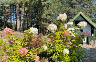 Dworek Drawa - Photo 6