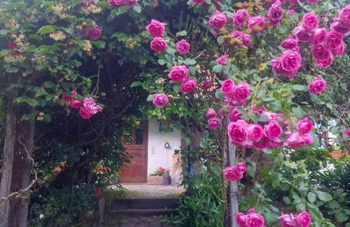 Schweizerblick - Denkmalgeschützes Haus in ruhiger Lage - großer Garten und mit Charme eingerichtet - ideal für Familien, Paare & Hund - Foto 43