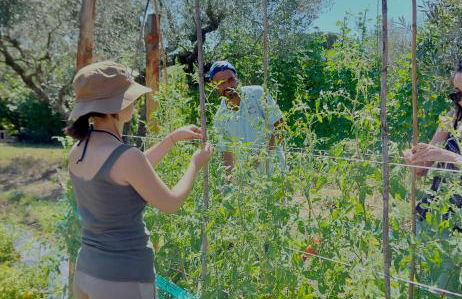 Orto delle Fate - Foto 63