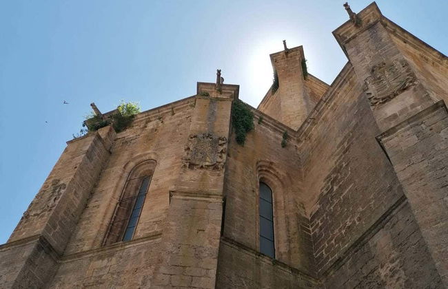 Visite guidée de l'ancienne église collégiale Santa Ana - Photo 3